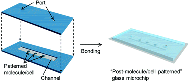 Graphical abstract: A method of packaging molecule/cell-patterns in an open space into a glass microfluidic channel by combining pressure-based low/room temperature bonding and fluorosilane patterning