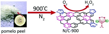 Graphical abstract: A biomass derived N/C-catalyst for the electrochemical production of hydrogen peroxide