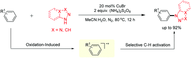 Graphical abstract: Oxidation-induced C–H amination leads to a new avenue to build C–N bonds