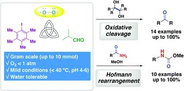 Graphical abstract: Iodoarene-catalyzed oxidative transformations using molecular oxygen