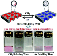Graphical abstract: CO2-Responsive polymer membranes with gas-tunable pore size