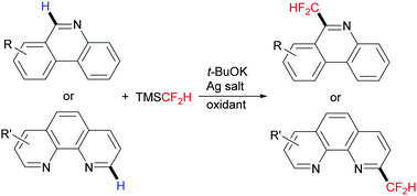 Graphical abstract: Silver-mediated oxidative C–H difluoromethylation of phenanthridines and 1,10-phenanthrolines