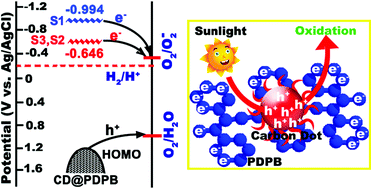 Graphical abstract: A solid reaction towards in situ hybridization of carbon dots and conjugated polymers for enhanced light absorption and conversion