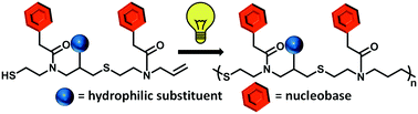 Graphical abstract: Water-soluble clickable nucleic acid (CNA) polymer synthesis by functionalizing the pendant hydroxyl