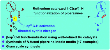 Graphical abstract: Ruthenium catalyzed β-C(sp3)–H functionalization on the ‘privileged’ piperazine nucleus