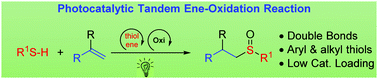 Graphical abstract: Thiol–ene/oxidation tandem reaction under visible light photocatalysis: synthesis of alkyl sulfoxides