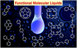 Graphical abstract: Frontiers of solvent-free functional molecular liquids