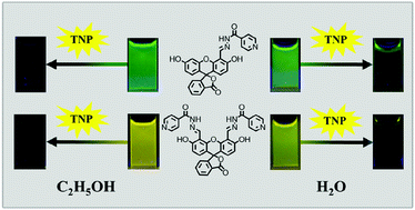 Graphical abstract: Two fluorescein-based chemosensors for the fast detection of 2,4,6-trinitrophenol (TNP) in water