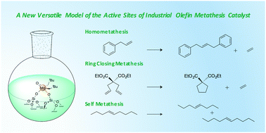 Graphical abstract: Well-defined silica supported bipodal molybdenum oxo alkyl complexes: a model of the active sites of industrial olefin metathesis catalysts