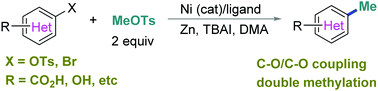 Graphical abstract: Nickel-catalyzed methylation of aryl halides/tosylates with methyl tosylate