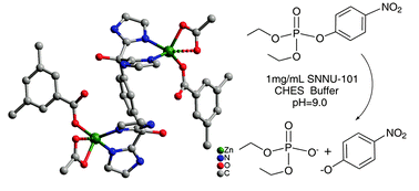 Graphical abstract: Assembly of the active center of organophosphorus hydrolase in metal–organic frameworks via rational combination of functional ligands