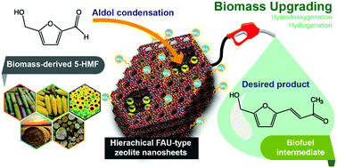 Graphical abstract: Aldol condensation of biomass-derived platform molecules over amine-grafted hierarchical FAU-type zeolite nanosheets (Zeolean) featuring basic sites