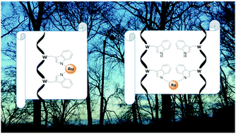 Graphical abstract: Perspectives of ruthenium(ii) polyazaaromatic photo-oxidizing complexes photoreactive towards tryptophan-containing peptides and derivatives