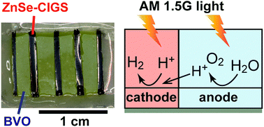 Graphical abstract: Overall water splitting by photoelectrochemical cells consisting of (ZnSe)0.85(CuIn0.7Ga0.3Se2)0.15 photocathodes and BiVO4 photoanodes