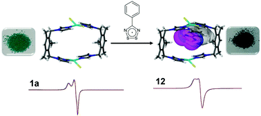 Graphical abstract: Inclusion of a dithiadiazolyl radical in a seemingly non-porous solid