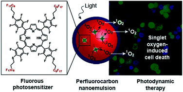 Graphical abstract: Fluorous photosensitizers enhance photodynamic therapy with perfluorocarbon nanoemulsions