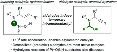 Graphical abstract: Organocatalysis using aldehydes: the development and improvement of catalytic hydroaminations, hydrations and hydrolyses