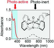 Graphical abstract: Direct photochemical activation of non-heme Fe(iv) [[double bond, length as m-dash]] O complexes