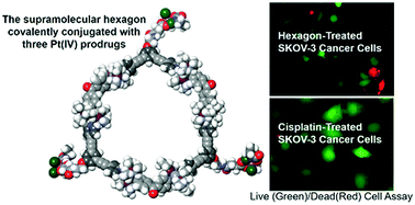 Graphical abstract: Coordination-driven self-assembly of a Pt(iv) prodrug-conjugated supramolecular hexagon