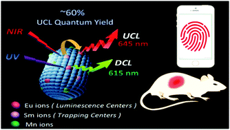 Graphical abstract: Highly-luminescent Eu,Sm,Mn-doped CaS up/down conversion nano-particles: application to ultra-sensitive latent fingerprint detection and in vivo bioimaging
