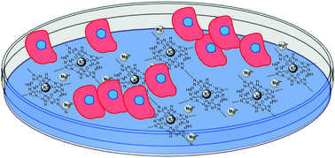 Graphical abstract: G-Quartet hydrogels for effective cell growth applications