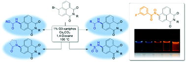 Graphical abstract: Modular synthesis of 4-aminocarbonyl substituted 1,8-naphthalimides and application in single molecule fluorescence detection
