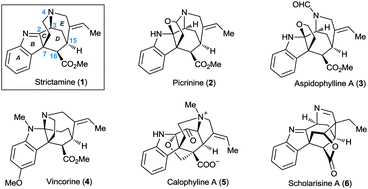 Graphical abstract: Formal total synthesis of the akuammiline alkaloid (+)-strictamine
