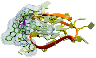 Graphical abstract: Selective G-quadruplex binding by oligoarginine-Ru(dppz) metallopeptides