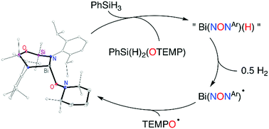 Graphical abstract: Catalytic oxidative coupling promoted by bismuth TEMPOxide complexes