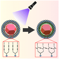 Graphical abstract: Highly stable lipid-encapsulation of fluorescent nanodiamonds for bioimaging applications