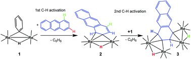Graphical abstract: Multiple aromatic C–H bond activations by a dirhenium carbonyl complex