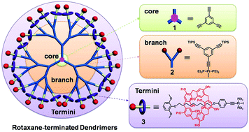Graphical abstract: Facile construction of organometallic rotaxane-terminated dendrimers using neutral platinum–acetylides as the main scaffold