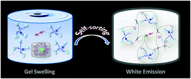 Graphical abstract: Tunable white-light emission by supramolecular self-sorting in highly swollen hydrogels