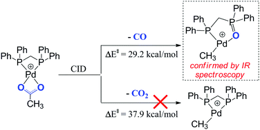 Graphical abstract: Ligand-induced decarbonylation in diphosphine-ligated palladium acetates [CH3CO2Pd((PR2)2CH2)]+ (R = Me and Ph)