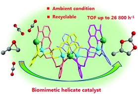 Graphical abstract: Ambient chemical fixation of CO2 using a highly efficient heterometallic helicate catalyst system