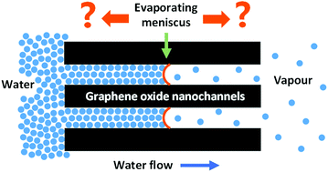 Graphical abstract: Water transport through graphene oxide membranes: the roles of driving forces