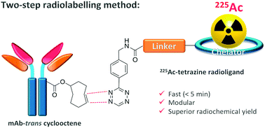 Graphical abstract: The inverse electron-demand Diels–Alder reaction as a new methodology for the synthesis of 225Ac-labelled radioimmunoconjugates