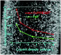 Graphical abstract: PEDOT coated iron phosphide nanorod arrays as high-performance supercapacitor negative electrodes