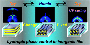 Graphical abstract: Humidity-responsive phase transition and on-demand UV-curing in a hygroscopic polysiloxane–surfactant nanohybrid film