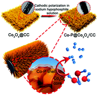 Graphical abstract: Cathodic electrochemical activation of Co3O4 nanoarrays: a smart strategy to significantly boost the hydrogen evolution activity