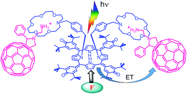 Graphical abstract: Fluoride-ion-binding promoted photoinduced charge separation in a self-assembled C60 alkyl cation bound bis-crown ether-oxoporphyrinogen supramolecule