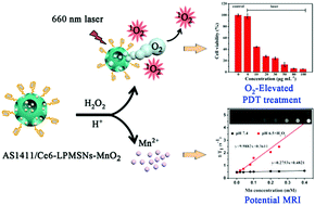 Graphical abstract: In situ formation of large pore silica–MnO2 nanocomposites with H+/H2O2 sensitivity for O2-elevated photodynamic therapy and potential MR imaging