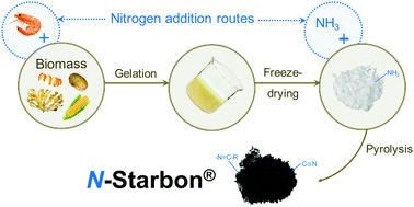 Graphical abstract: Unexpected nitrile formation in bio-based mesoporous materials (Starbons®)