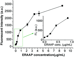 Graphical abstract: A peptide-based fluorescent probe images ERAAP activity in cells and in high throughput assays