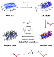 Graphical abstract: Polymer tube nanoreactors via DNA-origami templated synthesis