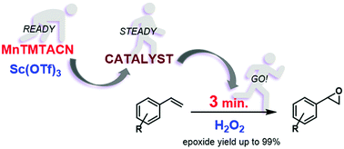 Graphical abstract: Remarkable increase in the rate of the catalytic epoxidation of electron deficient styrenes through the addition of Sc(OTf)3 to the MnTMTACN catalyst