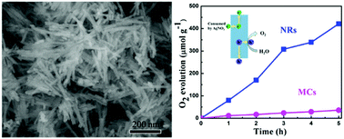 Graphical abstract: Nonaqueous synthesis of metal cyanamide semiconductor nanocrystals for photocatalytic water oxidation