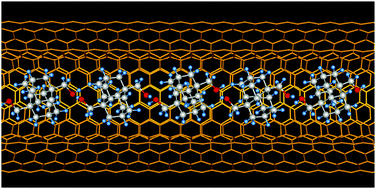 Graphical abstract: One-dimensional hydrogen bonding networks of bis-hydroxylated diamantane formed inside double-walled carbon nanotubes