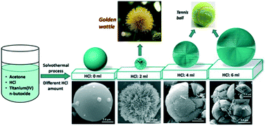 Graphical abstract: 3D hierarchical golden wattle-like TiO2 microspheres: polar acetone-based solvothermal synthesis and enhanced water purification performance