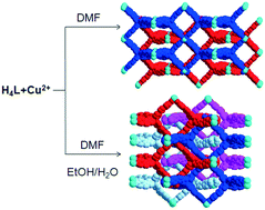 Graphical abstract: Two metal–organic frameworks sharing the same basic framework show distinct interpenetration degrees and different performances in CO2 catalytic conversion